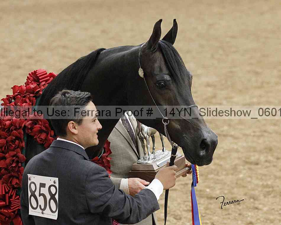 Proof _14yn_slideshow_06013