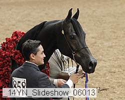 _14yn_slideshow_06013 proof