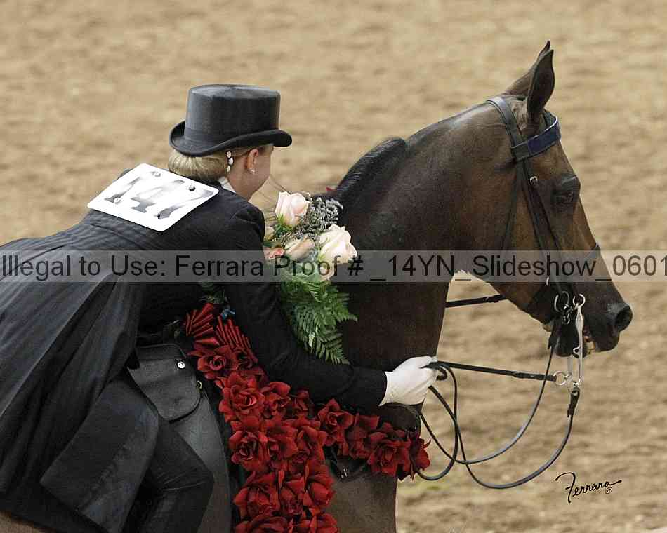 Proof _14yn_slideshow_06017