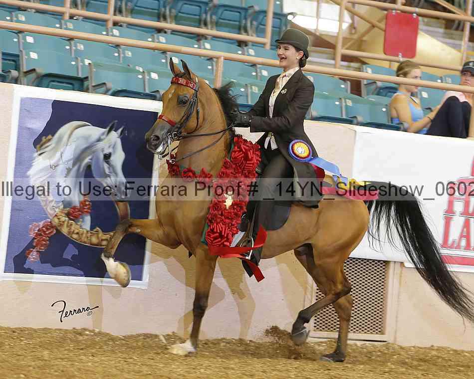 Proof _14yn_slideshow_06023
