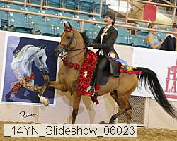 _14yn_slideshow_06023 proof