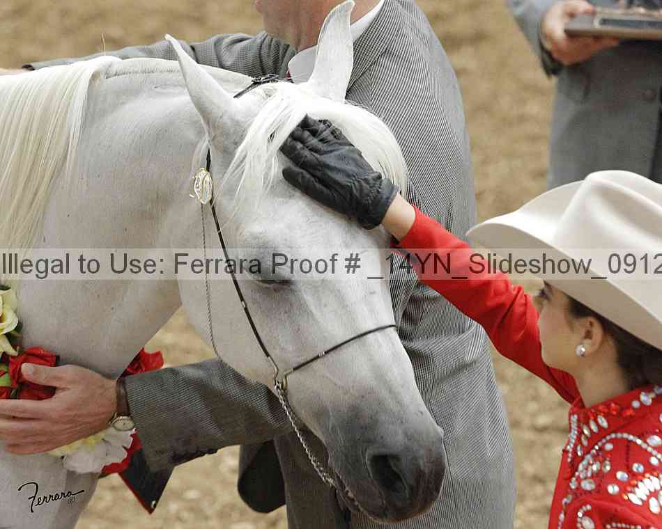 Proof _14yn_slideshow_09129