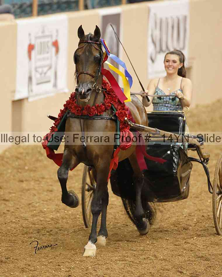 Proof _14yn_slideshow_09141