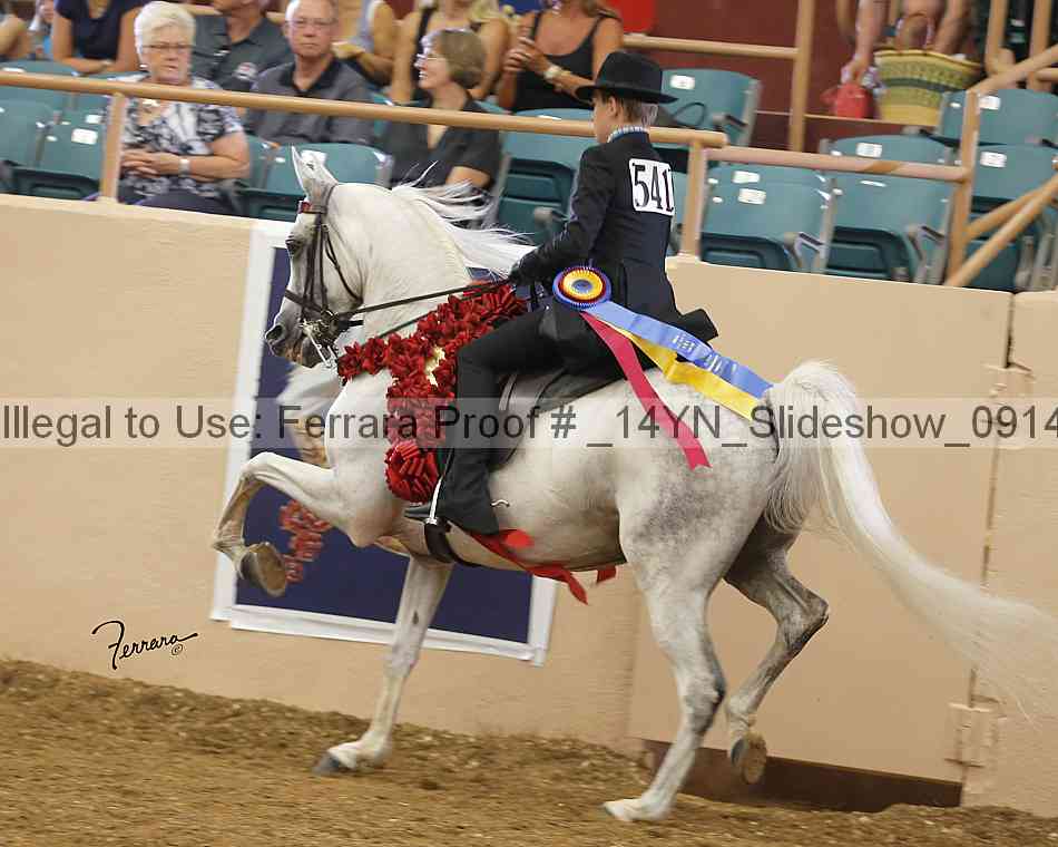Proof _14yn_slideshow_09144