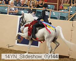 _14yn_slideshow_09144 proof