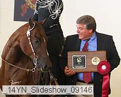 _14yn_slideshow_09146 proof