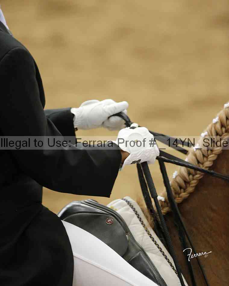 Proof _14yn_slideshow_14225