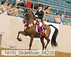 _14yn_slideshow_14228 proof