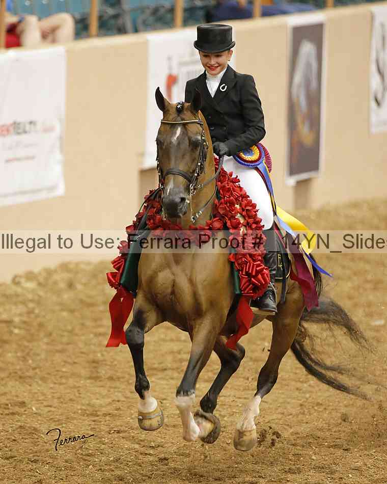 Proof _14yn_slideshow_14229