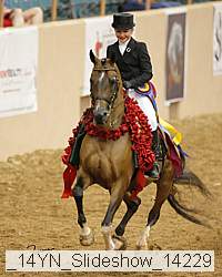 _14yn_slideshow_14229 proof