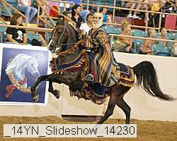 _14yn_slideshow_14230 proof