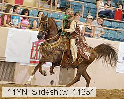 _14yn_slideshow_14231 proof