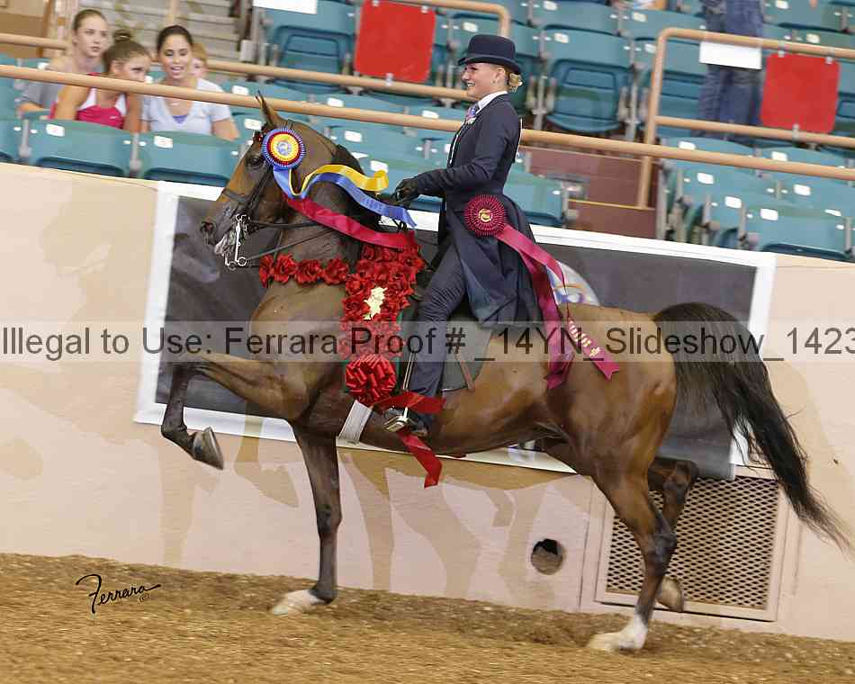 Proof _14yn_slideshow_14237