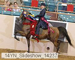 _14yn_slideshow_14237 proof