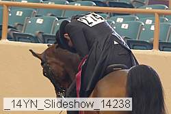 _14yn_slideshow_14238 proof