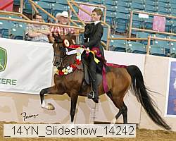 _14yn_slideshow_14242 proof
