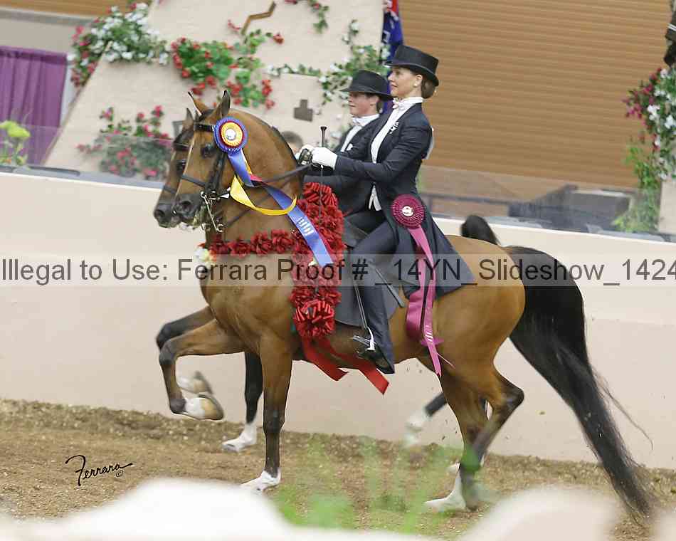 Proof _14yn_slideshow_14243
