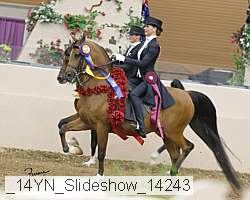 _14yn_slideshow_14243 proof