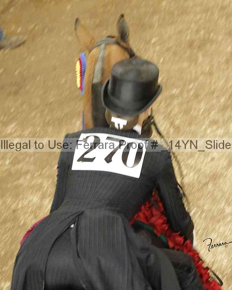 Proof _14yn_slideshow_14244