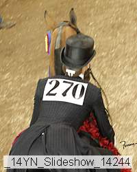 _14yn_slideshow_14244 proof