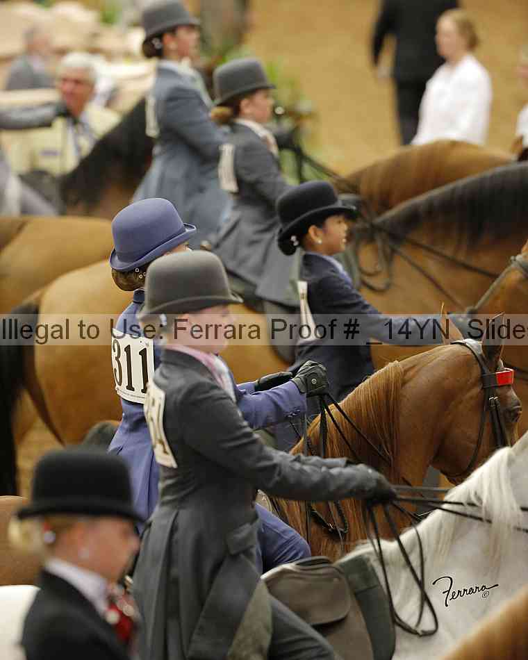 Proof _14yn_slideshow_14245
