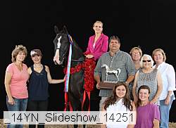 _14yn_slideshow_14251 proof