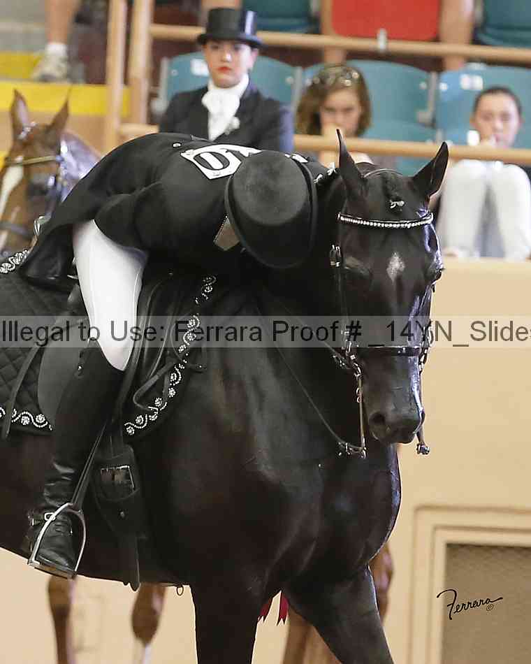 Proof _14yn_slideshow_14263