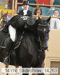 _14yn_slideshow_14263 proof