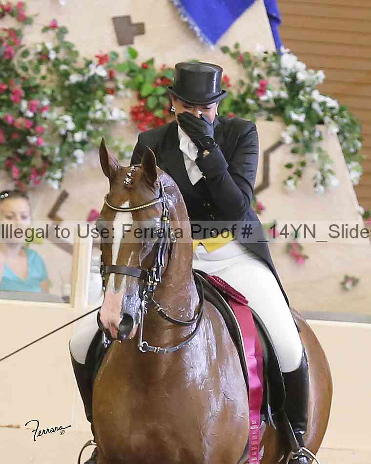 Proof _14yn_slideshow_14266