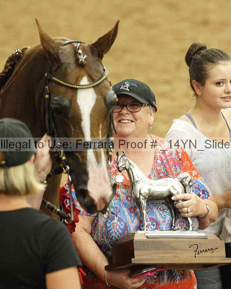 Proof _14yn_slideshow_14268