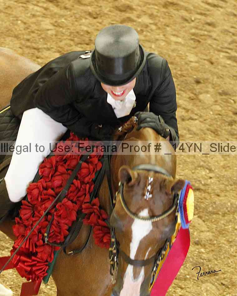 Proof _14yn_slideshow_14269
