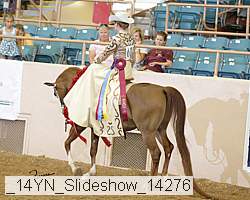 _14yn_slideshow_14276 proof