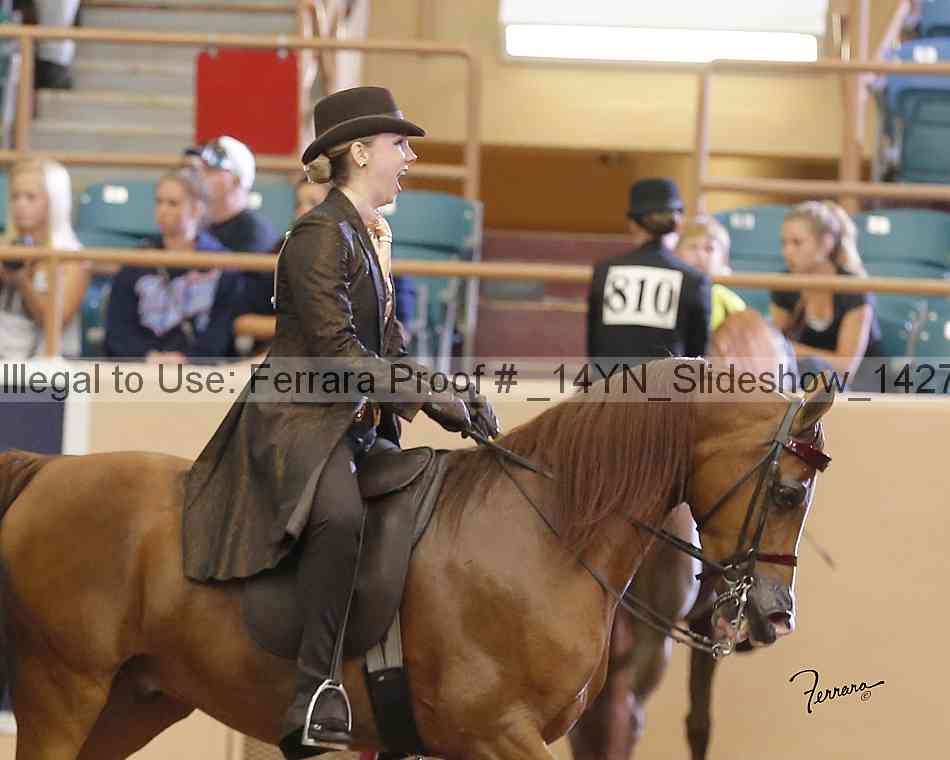 Proof _14yn_slideshow_14277
