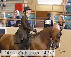 _14yn_slideshow_14277 proof