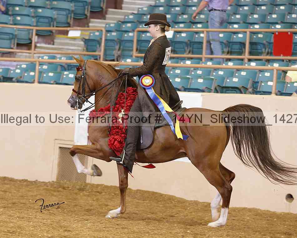 Proof _14yn_slideshow_14278