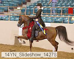 _14yn_slideshow_14278 proof