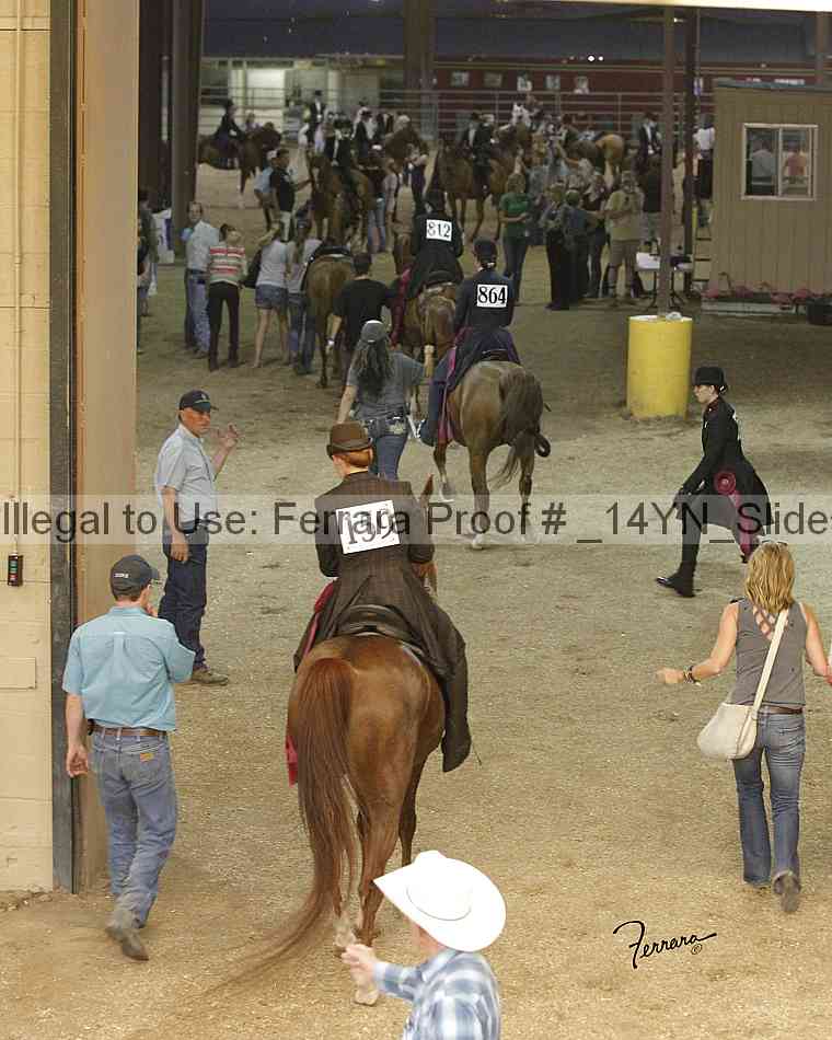 Proof _14yn_slideshow_14279