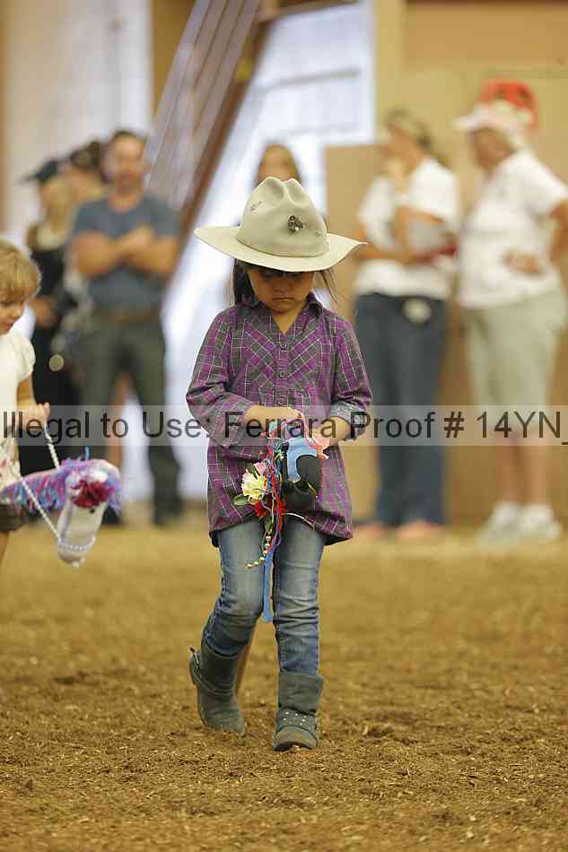 Proof 14yn_08861