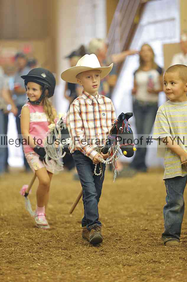 Proof 14yn_08865