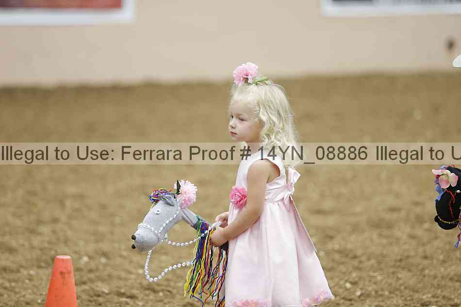 Proof 14yn_08886