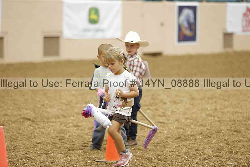 Proof 14yn_08888