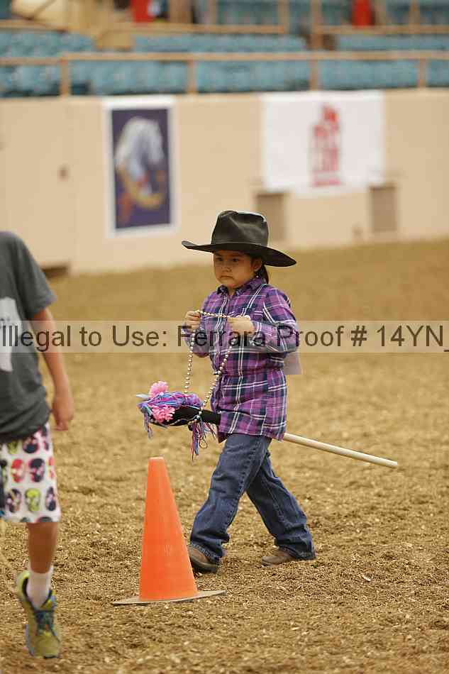 Proof 14yn_08891