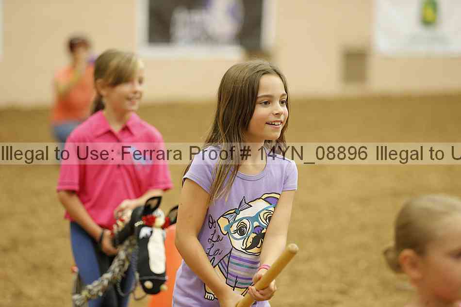Proof 14yn_08896
