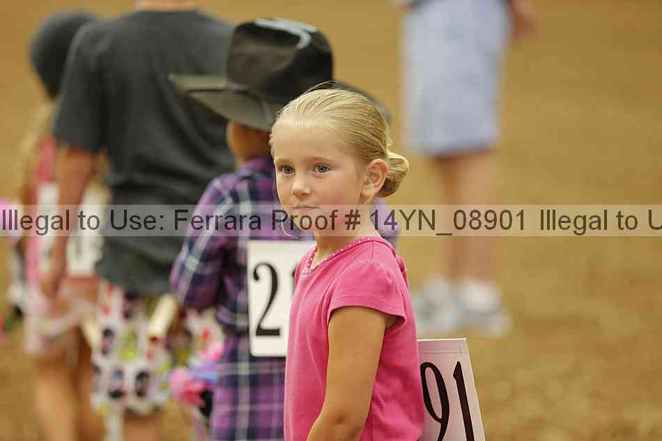 Proof 14yn_08901