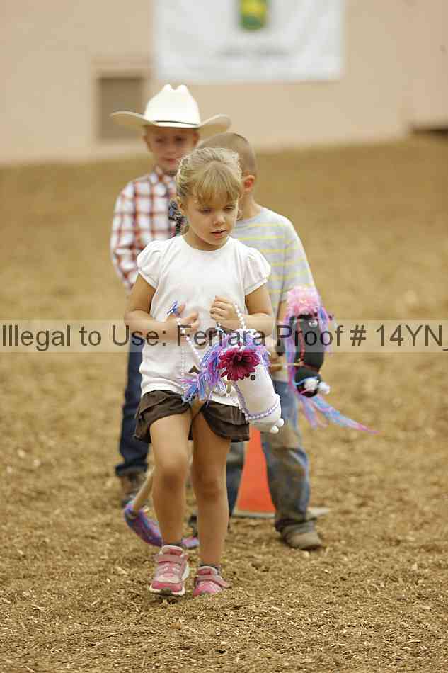 Proof 14yn_08906