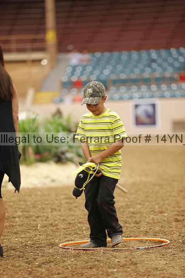 Proof 14yn_08912