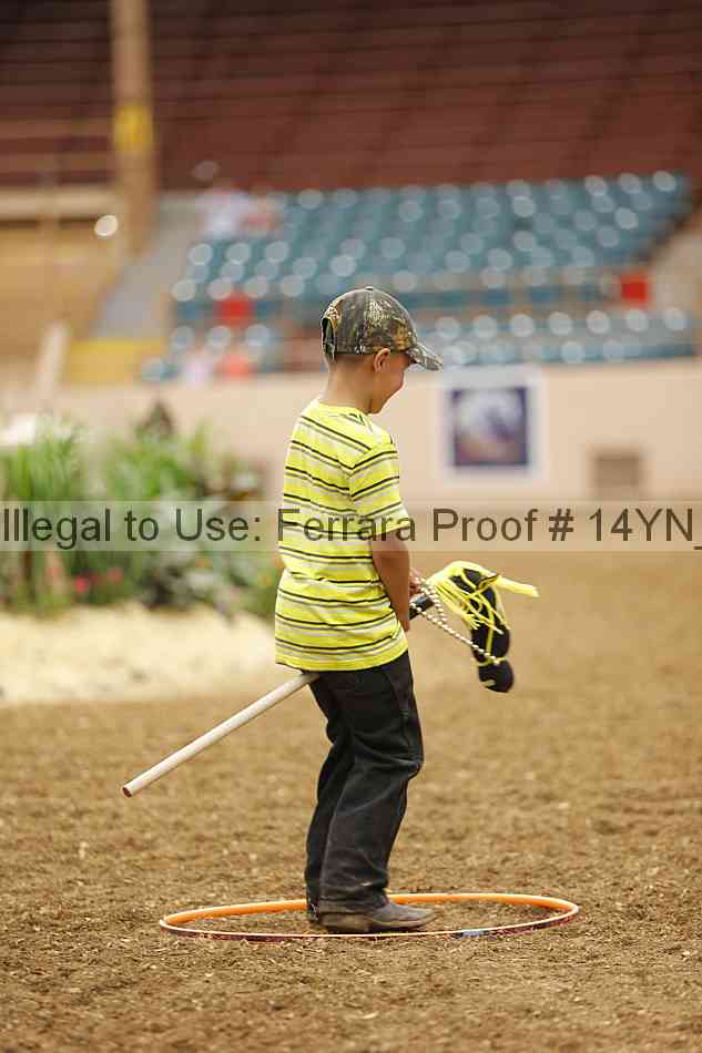 Proof 14yn_08913