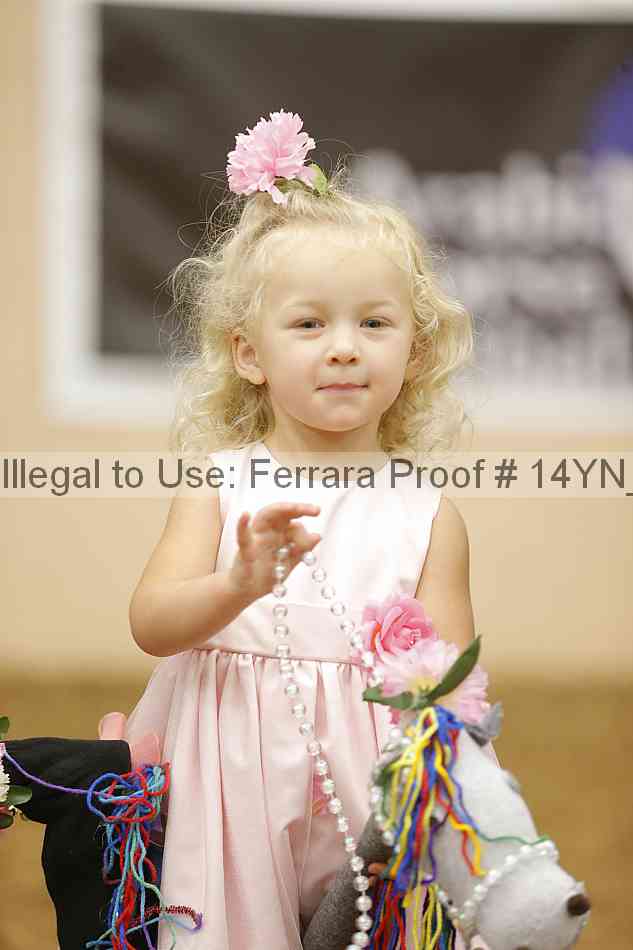 Proof 14yn_08915