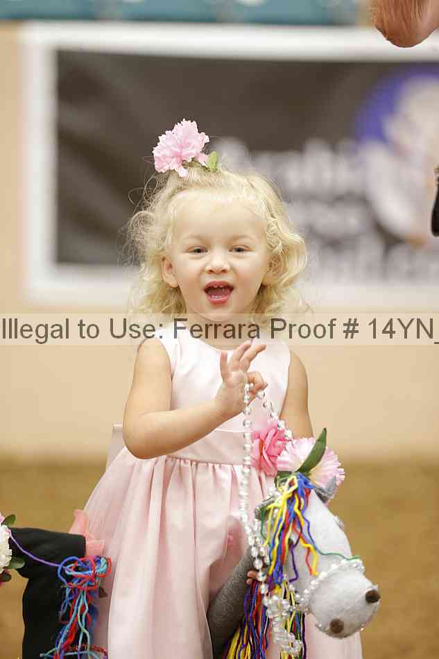 Proof 14yn_08916
