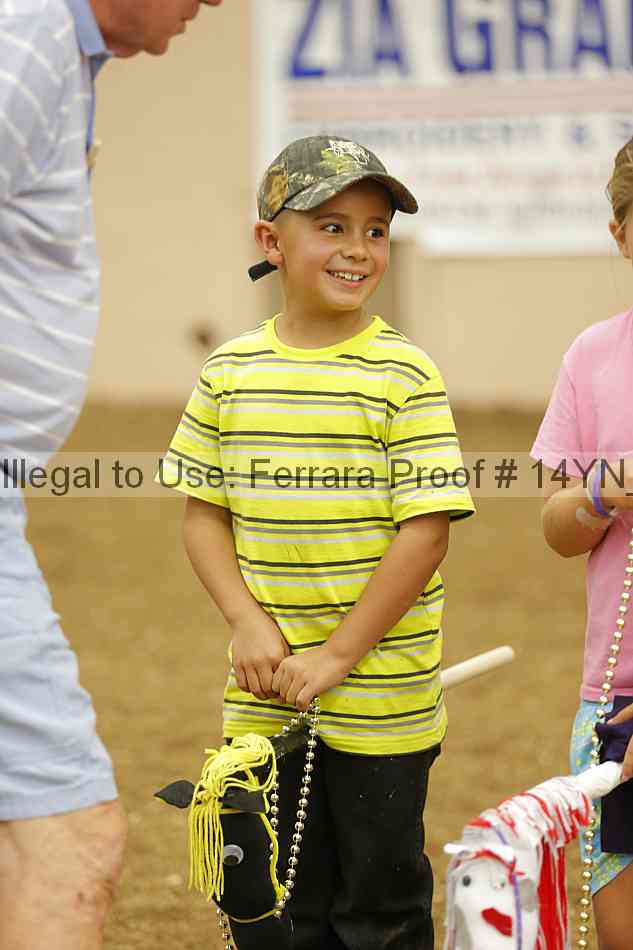 Proof 14yn_08929